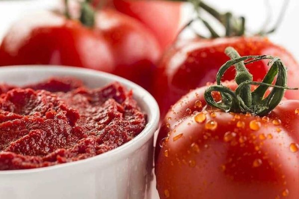 تصویر 2 از خرید و قیمت رب اسبق ۴ کیلویی + فروش صادراتی